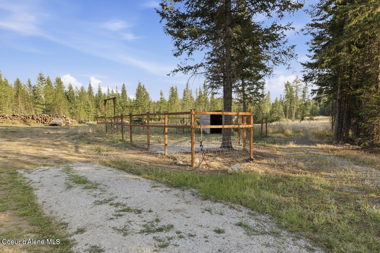 816 Old House Road Athol, ID 83801 - Photo 60 of 64 Fruit Trees