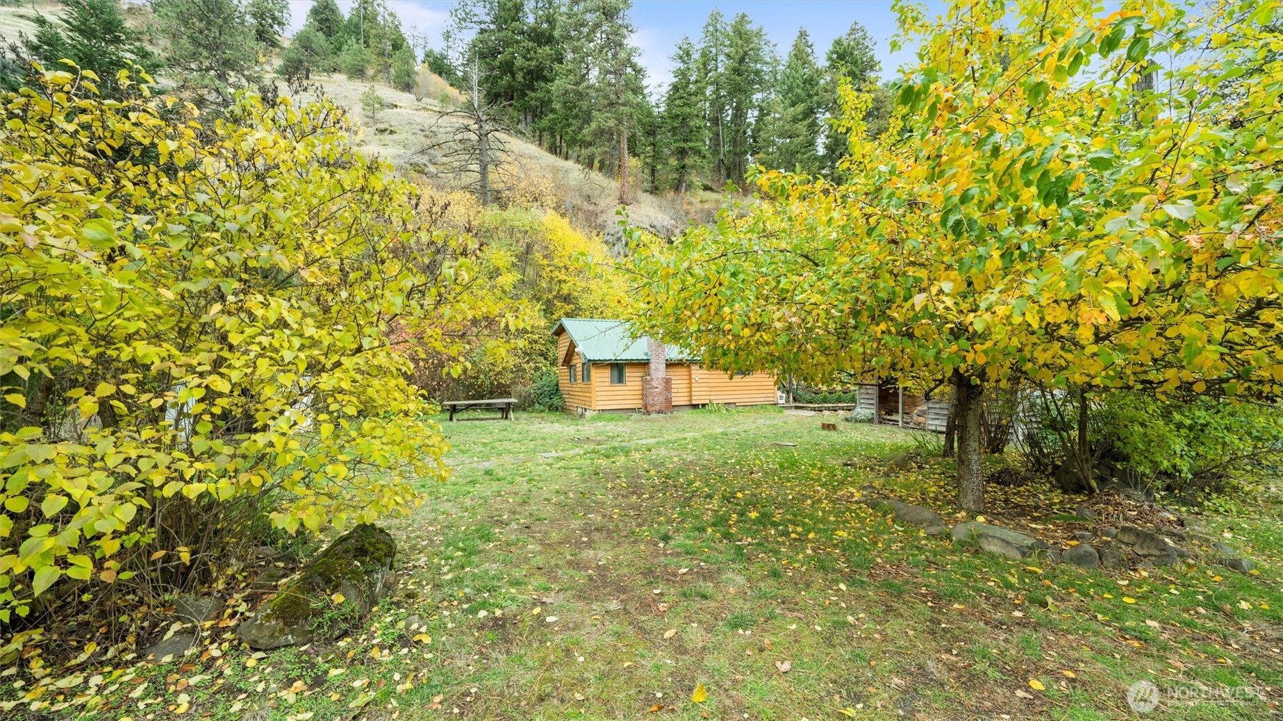 10246 Mill Creek Road Walla Walla, WA 99362 - Photo 25 of 31 a backyard of a house with large trees and plants