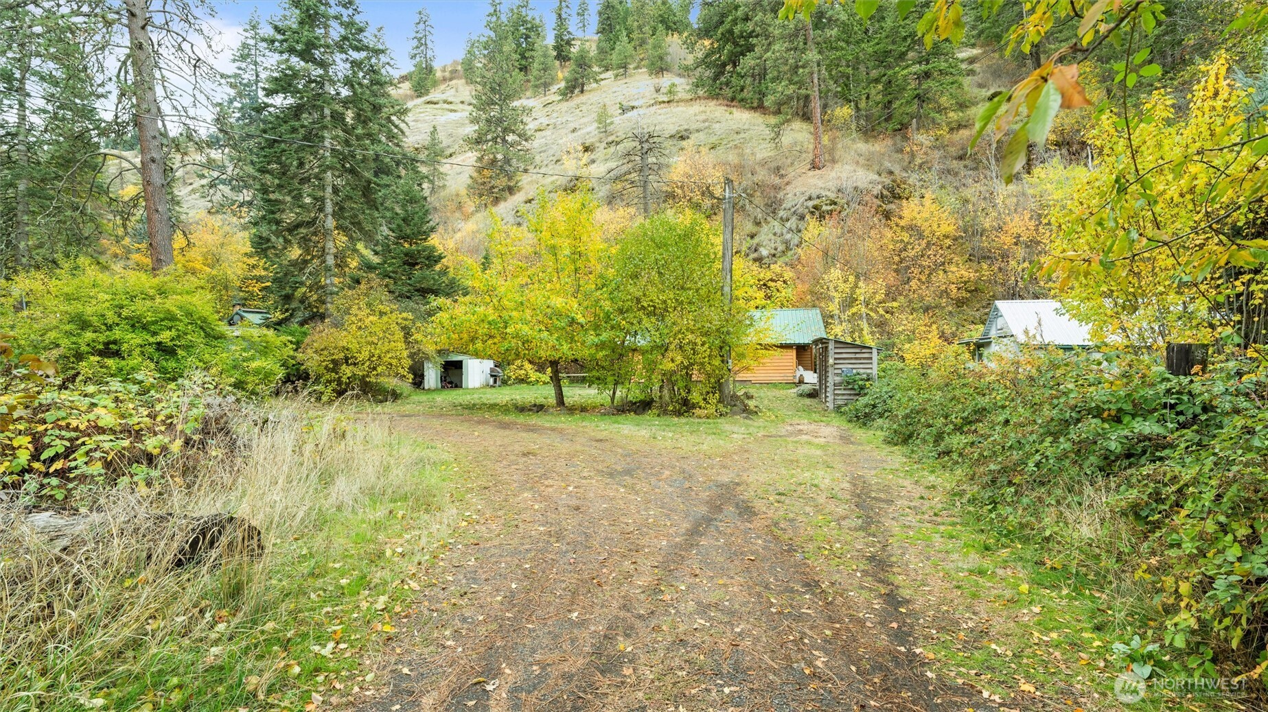 10246 Mill Creek Road Walla Walla, WA 99362 - Photo 28 of 31 a view of a yard with trees