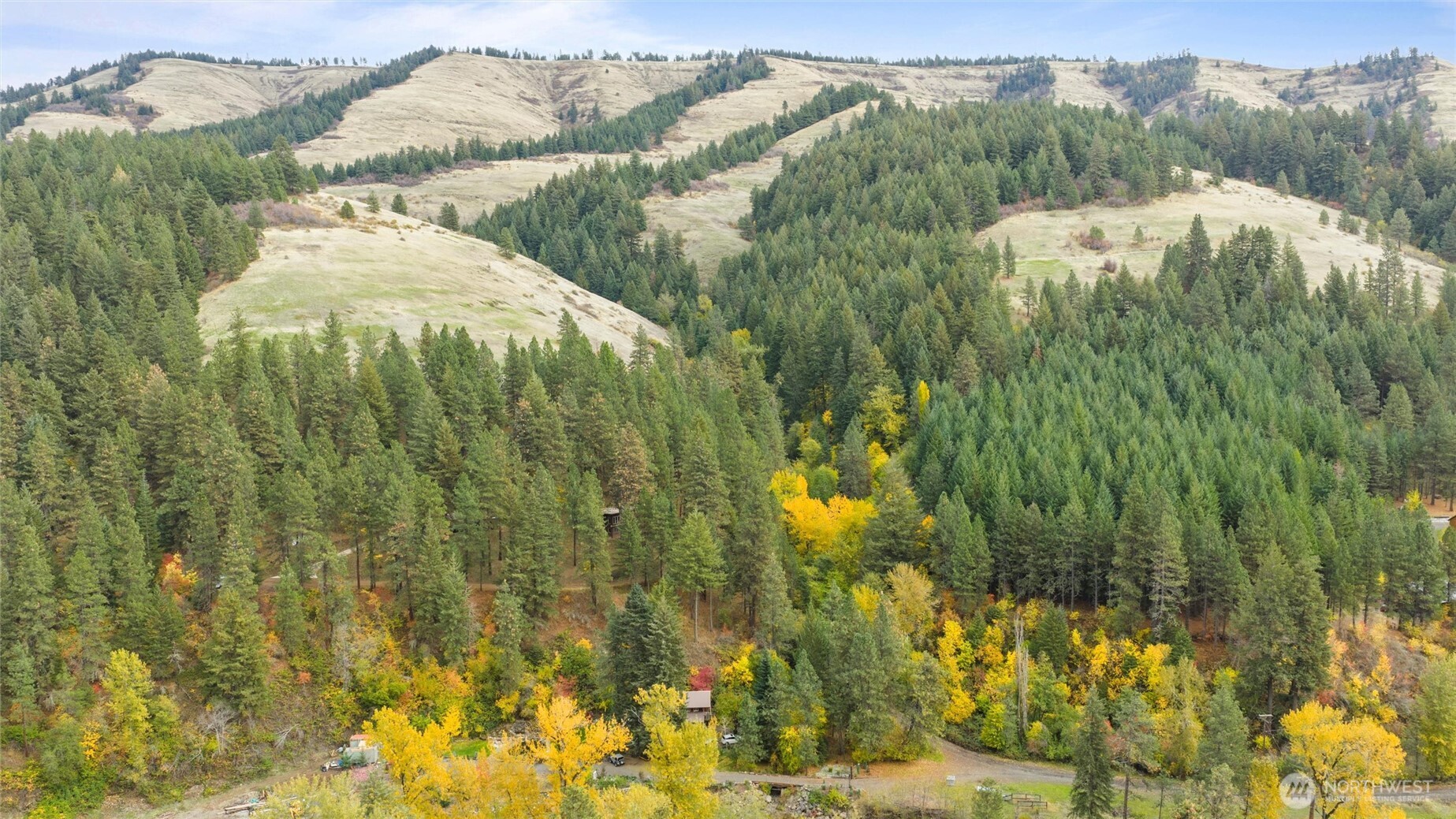 10246 Mill Creek Road Walla Walla, WA 99362 - Photo 29 of 31 a view of a yard and mountain view