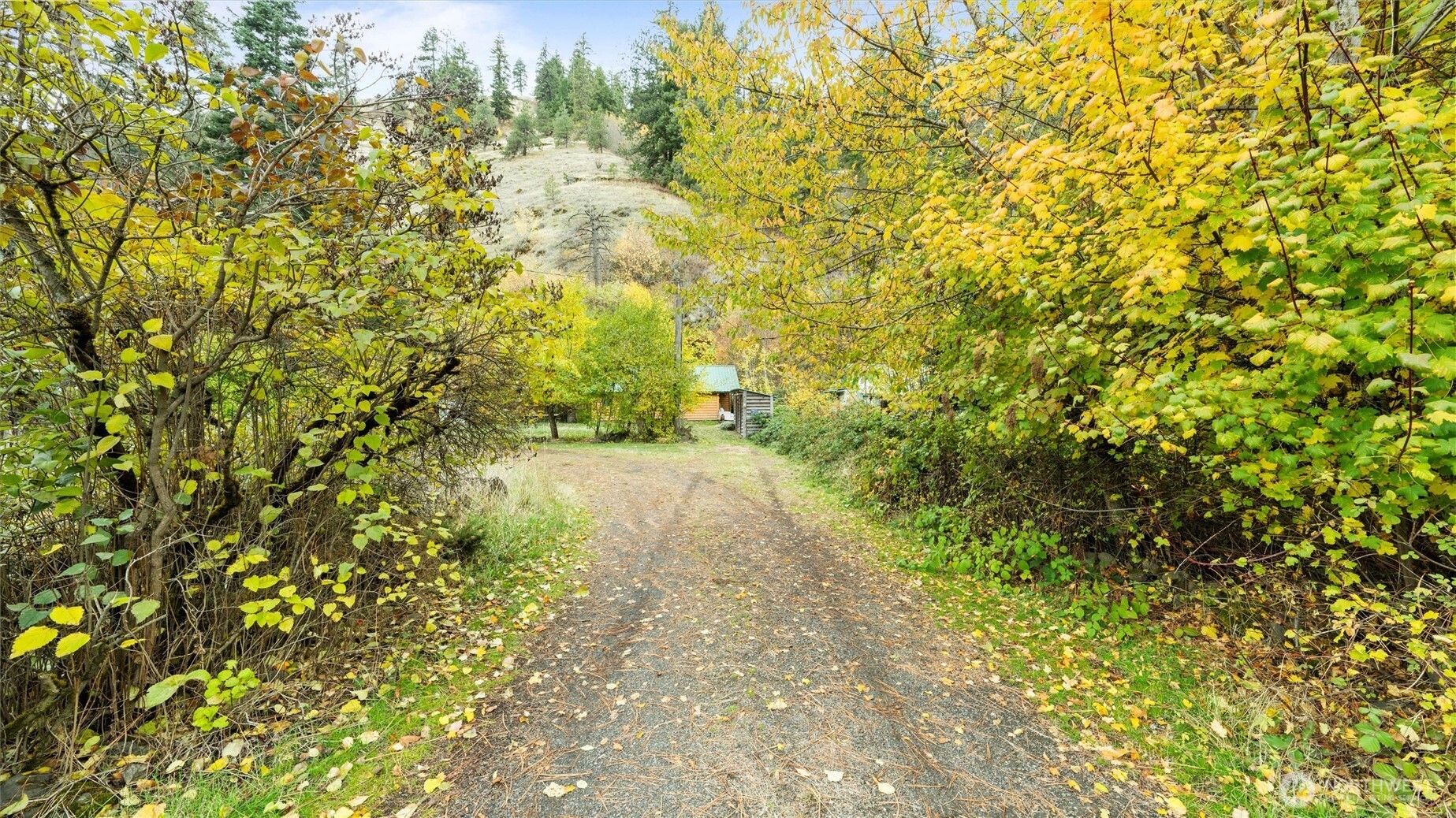 10246 Mill Creek Road Walla Walla, WA 99362 - Photo 5 of 31 a view of a yard with plants and wooden fence