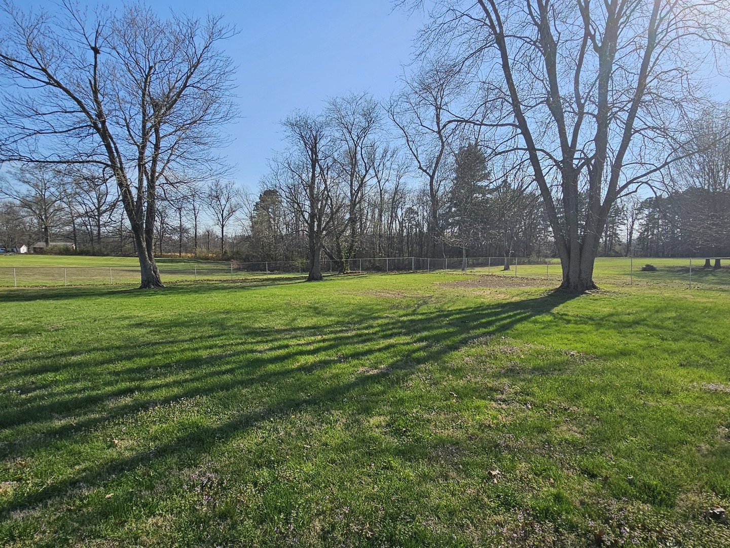 14927 East Clearview Road Mount Vernon, IL 62864 - Photo 3 of 27