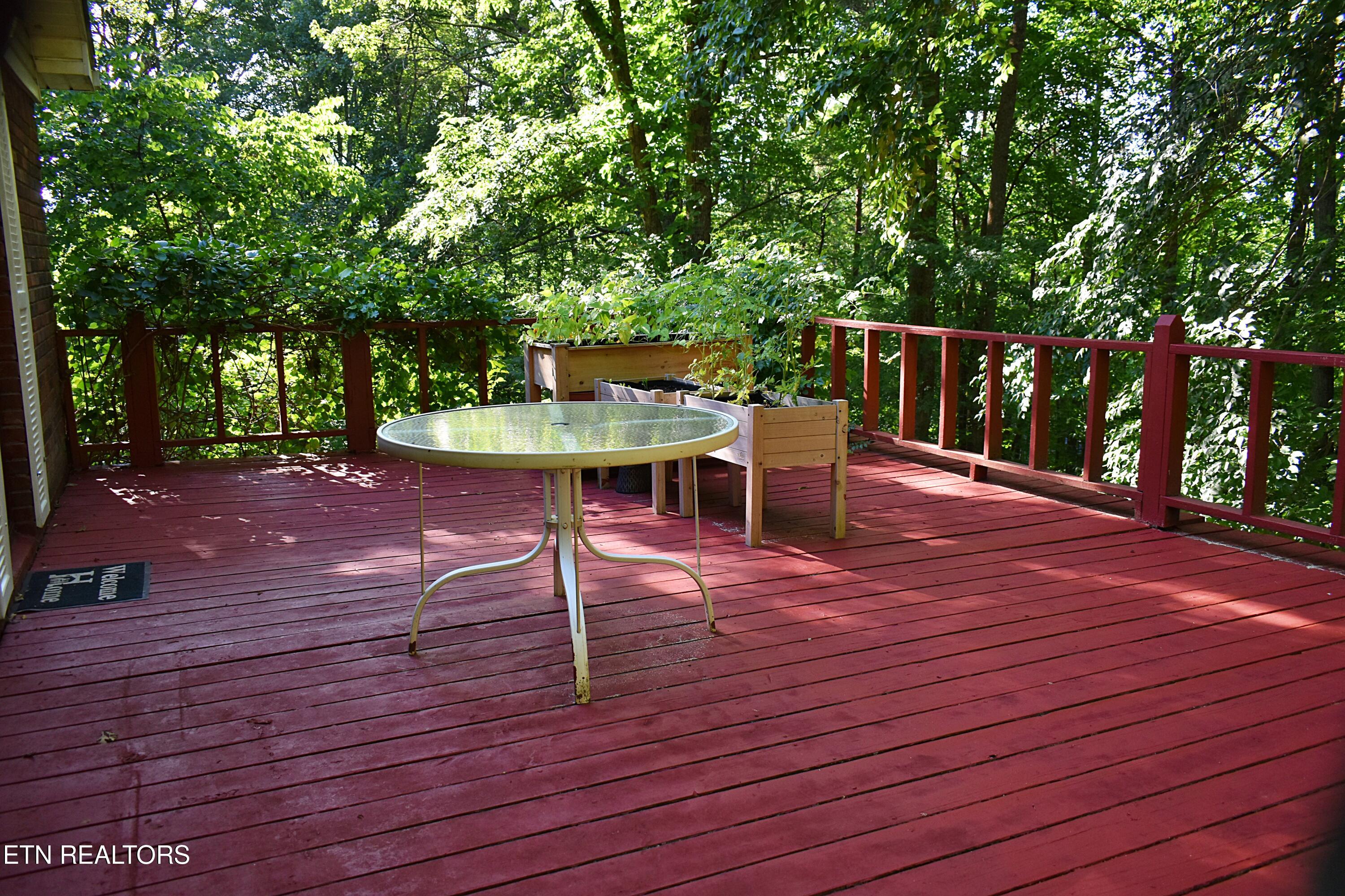 129 Jefferson Street Harrogate, TN 37752 - Photo 27 of 51 DSC_0050