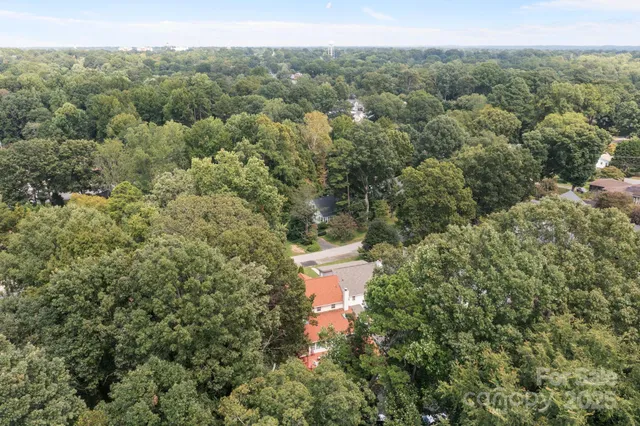 a view of a forest with a street