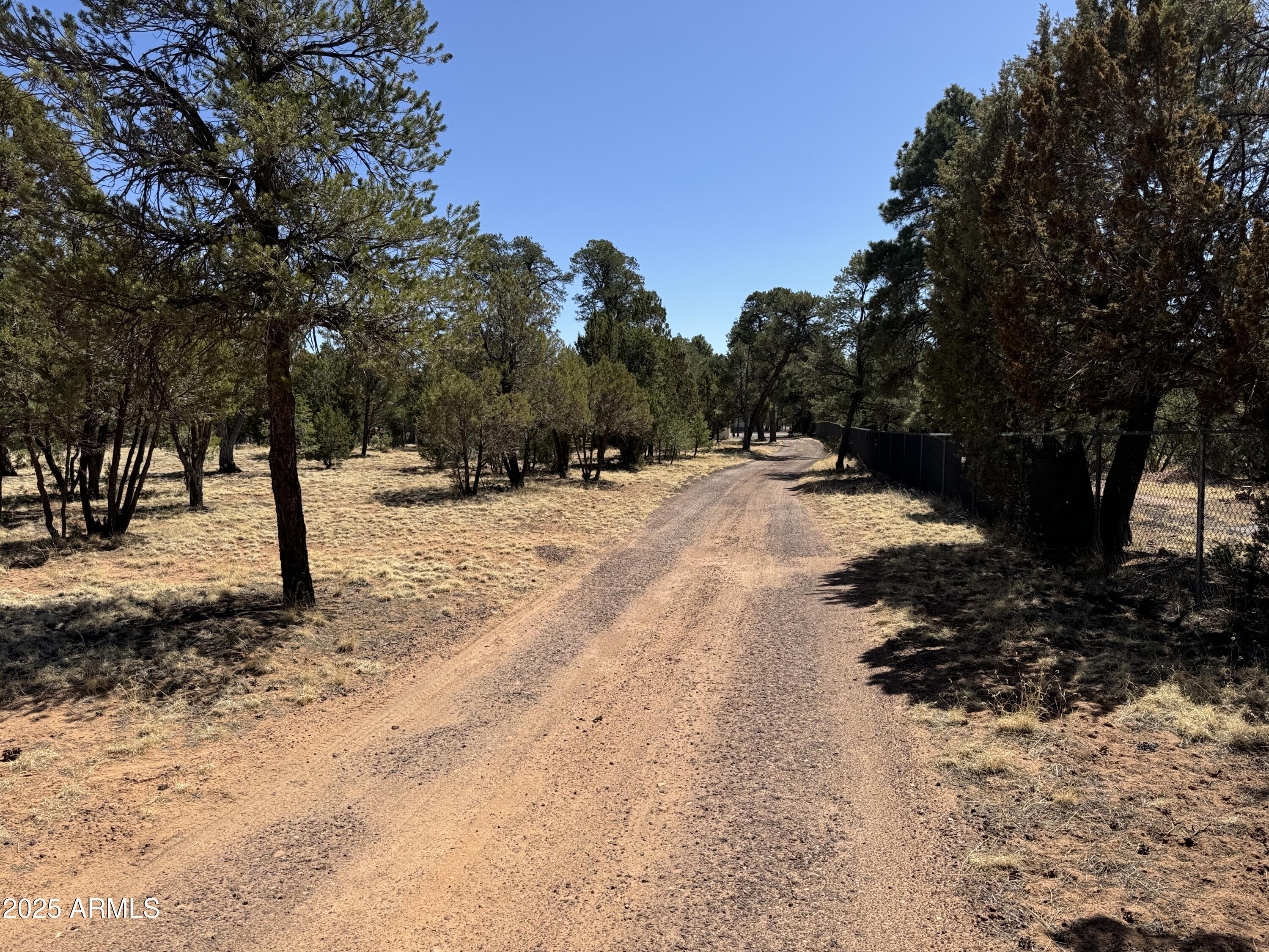 3050 Chevelon Road Overgaard, AZ 85933 - Photo 27 of 52 IMG_6451