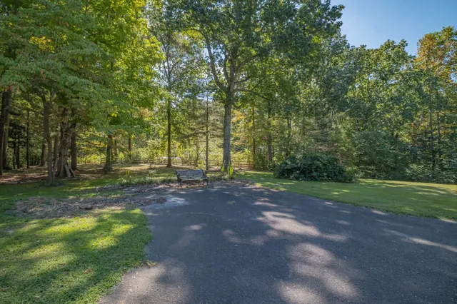 a view of a brick house with plants and large tree