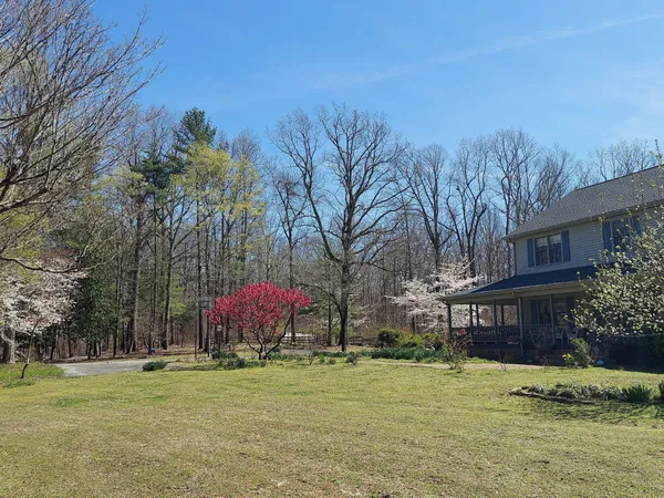 a view of swimming pool with a yard