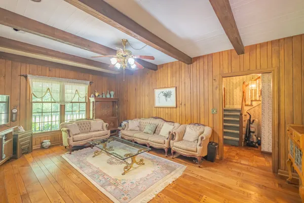 a living room with furniture and a potted plant