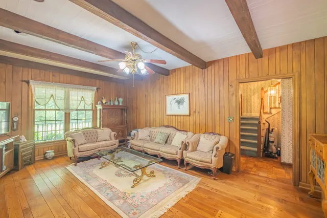 a living room with furniture and a potted plant