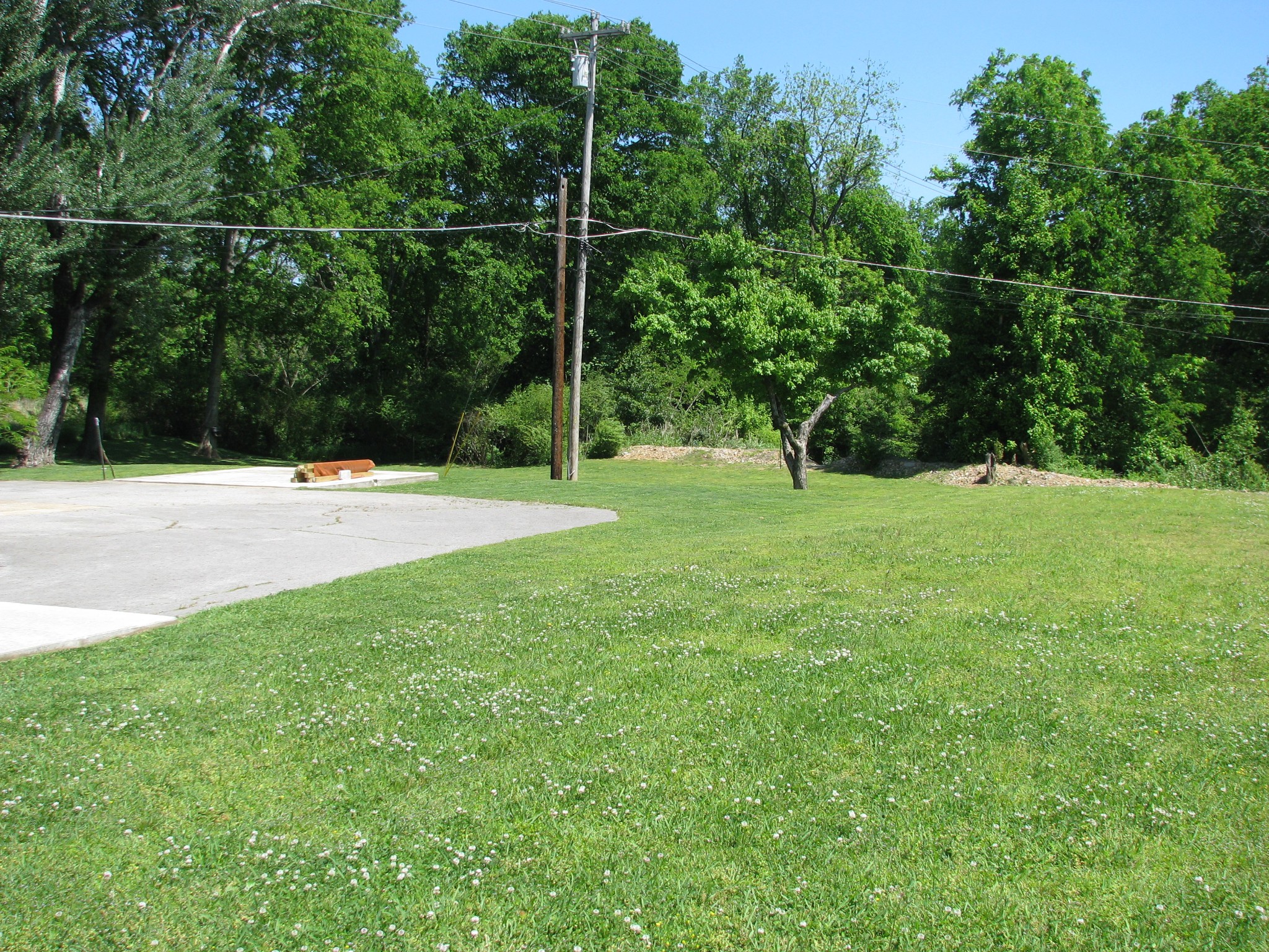 101 Simpson Street Waverly, TN 37185 - Photo 34 of 42 a view of field with tall trees