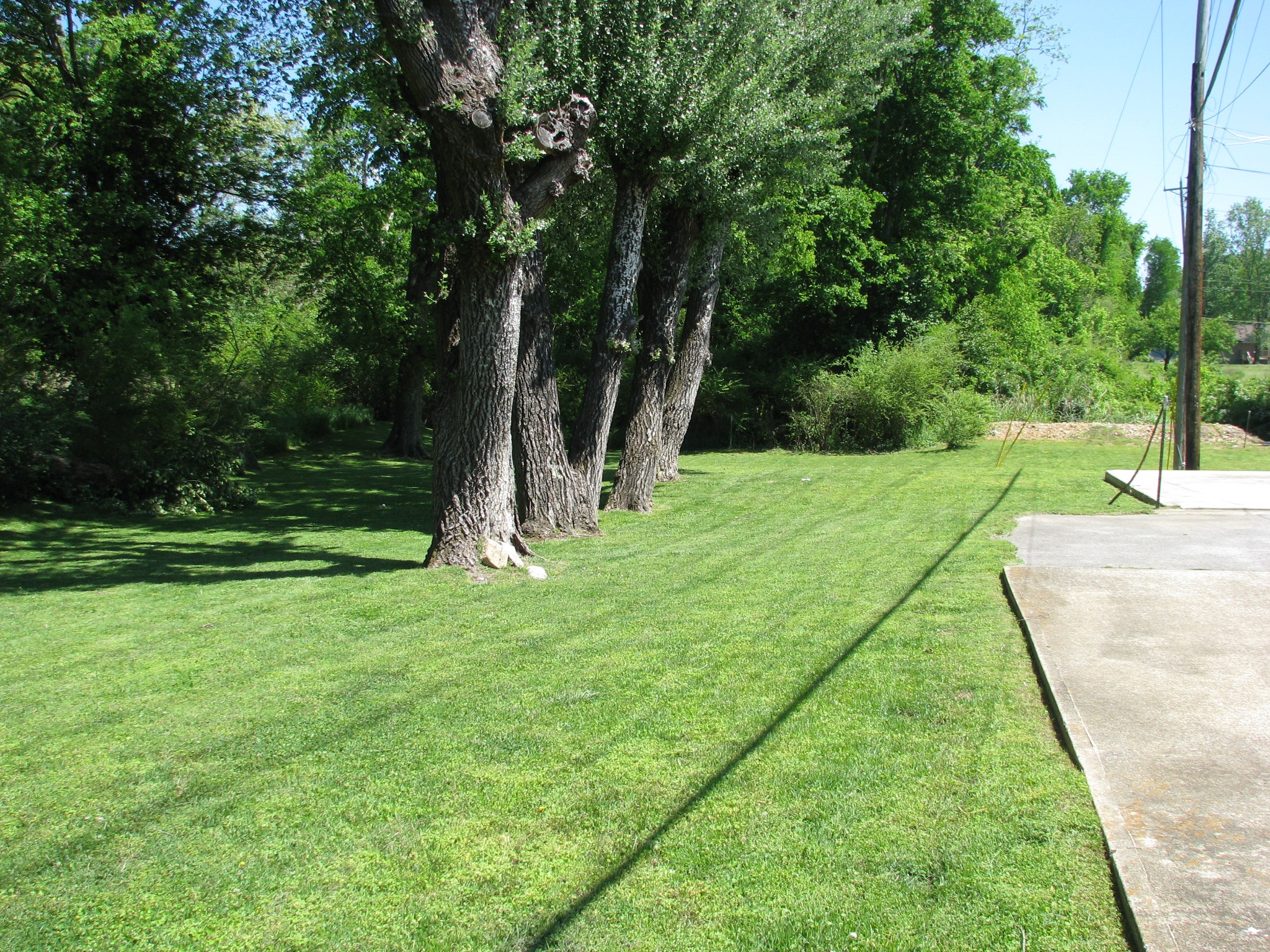 101 Simpson Street Waverly, TN 37185 - Photo 37 of 42 a view of a backyard with green space