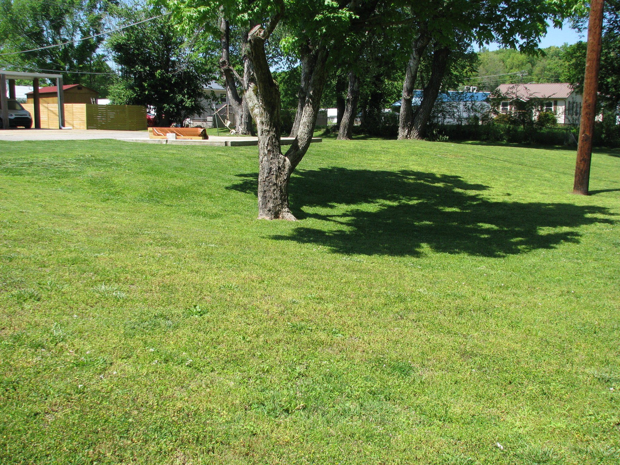 101 Simpson Street Waverly, TN 37185 - Photo 42 of 42 a view of a park with tree s