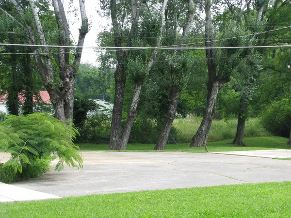 a view of a house with a yard and plants