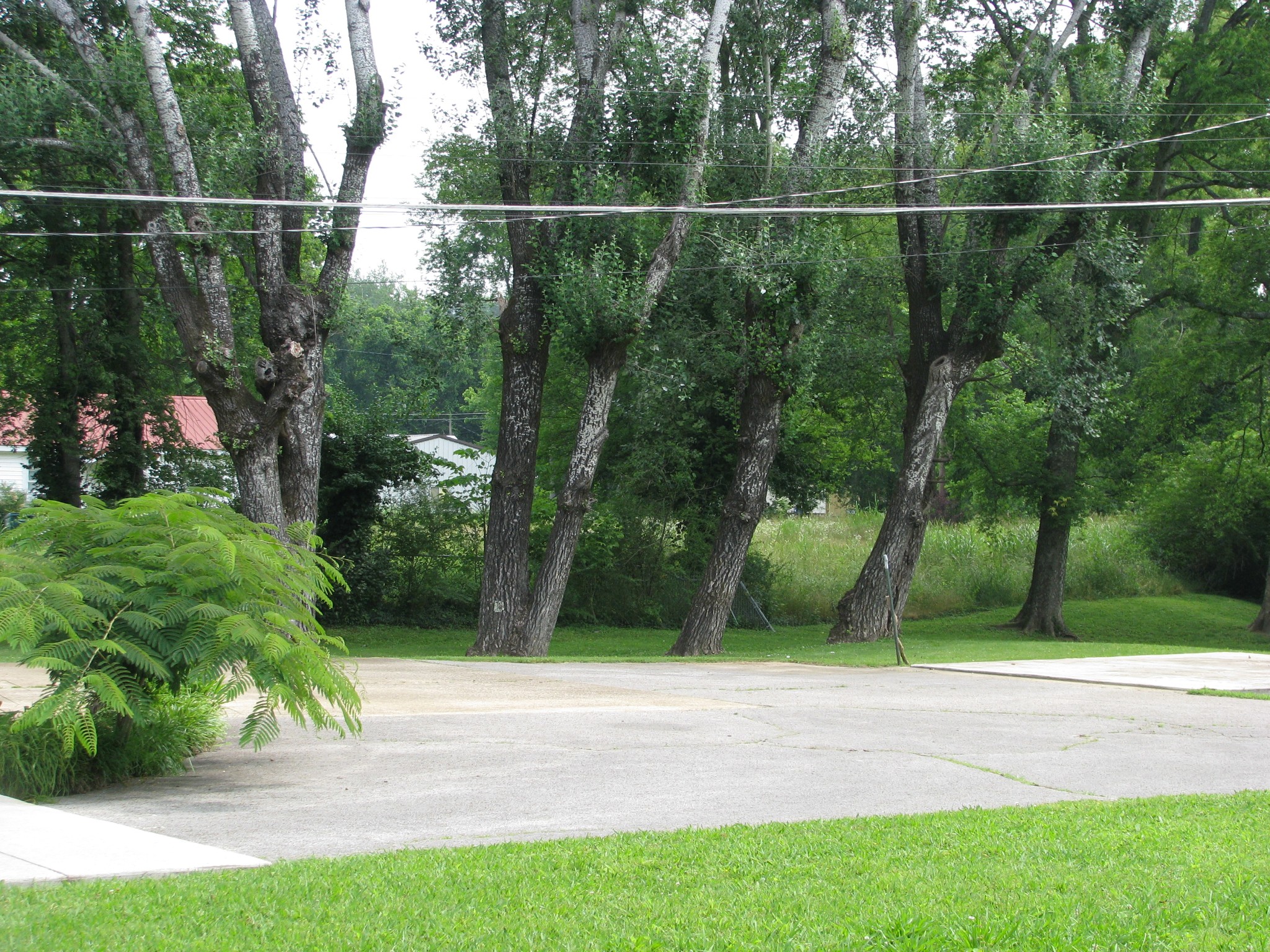 101 Simpson Street Waverly, TN 37185 - Photo 9 of 33