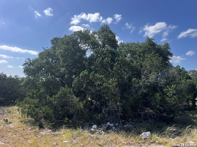 1863 SD 74200 Rocksprings, TX 78880 - Photo 13 of 16