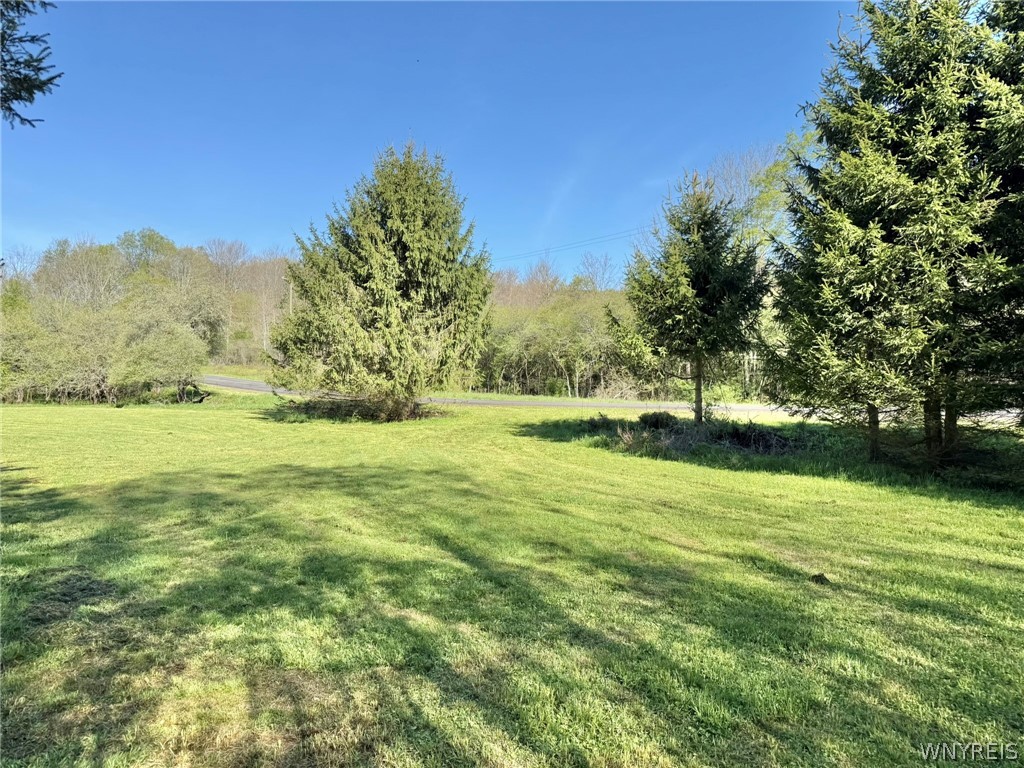 3137 Bear Creek Road Machias, NY 14737 - Photo 5 of 50