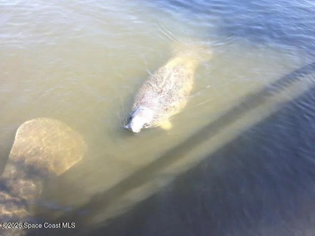 a view of a house with a patio and potted plants