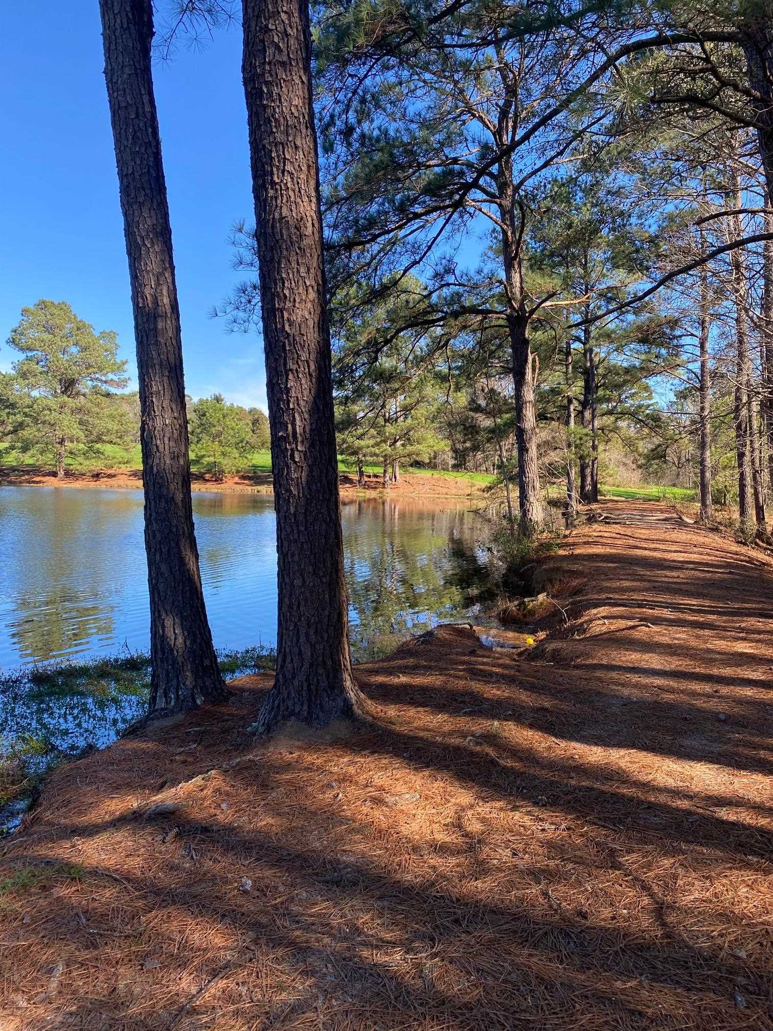 3156 Brooklyn Road Evergreen, AL 36401 - Photo 25 of 27 Gallery Image 25