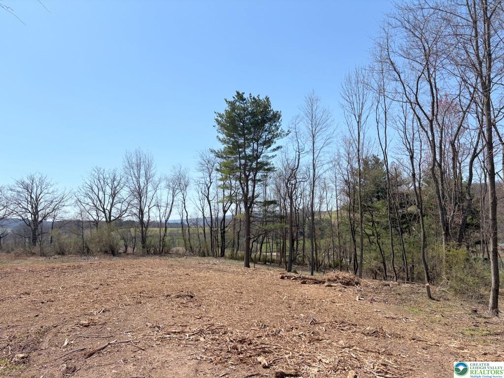 16 Ricks Road New Ringgold, PA 17960 - Photo 18 of 18 A cleared building site awaits, nestled amongst mature trees with scenic views.