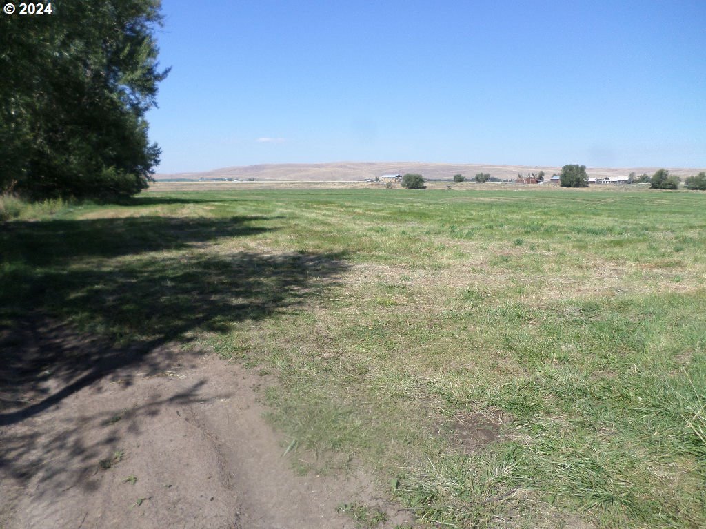 64654 Rancho Road Enterprise, OR 97828 - Photo 9 of 25 a view of a field with an trees