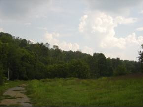 972 B Reedy Creek Road Bristol, TN 37620 - Photo 3 of 4 Photo 3