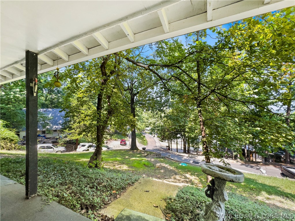 54 Curvy Road Camdenton, MO 65020 - Photo 52 of 60 Lower level Walkout view pic 2