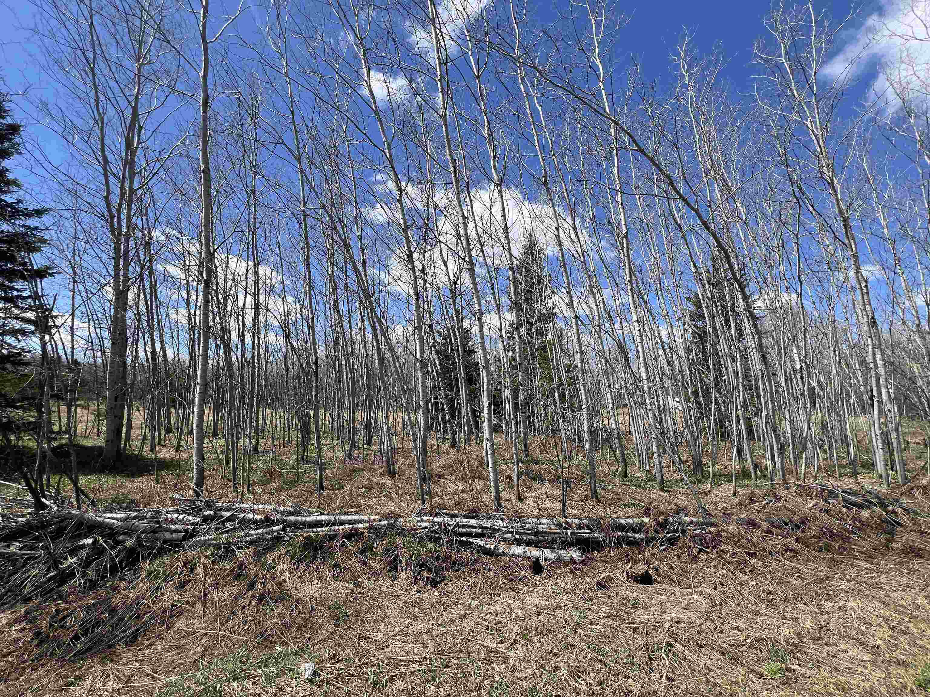 Dream Lake Road, Unit 6 & 7 Long Lake, WI 54542 - Photo 6 of 7