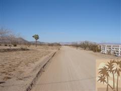 222 Mallow Road Landers, CA 92285 - Photo 4 of 6 Additional Photo