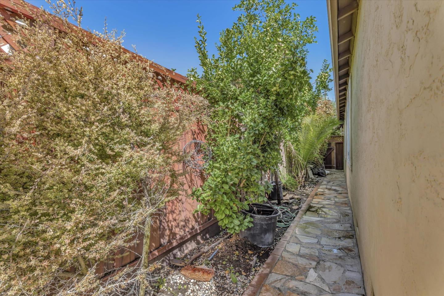 252 Sposito Circle San Jose, CA 95136 - Photo 7 of 50 a view of a yard with plants and flowers