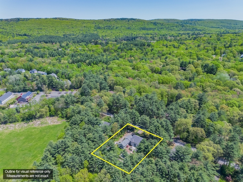 63 Larkspur Drive Amherst, MA 01002 - Photo 42 of 42 a view of a lush green forest with a houses