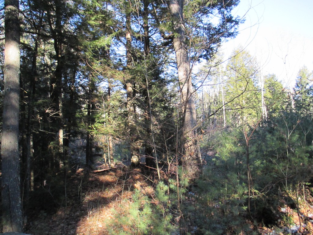 Lot 12 Riceville Road Athol, MA 01331 - Photo 7 of 7