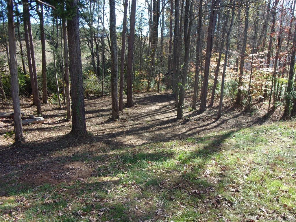 7838 East Berkeley Road Denver, NC 28037 - Photo 32 of 34 a view of a yard with large trees