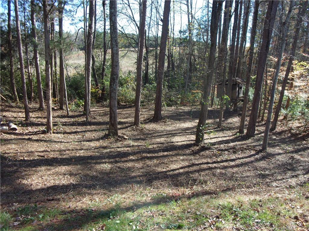 7838 East Berkeley Road Denver, NC 28037 - Photo 33 of 34 a backyard of a house with lots of green space