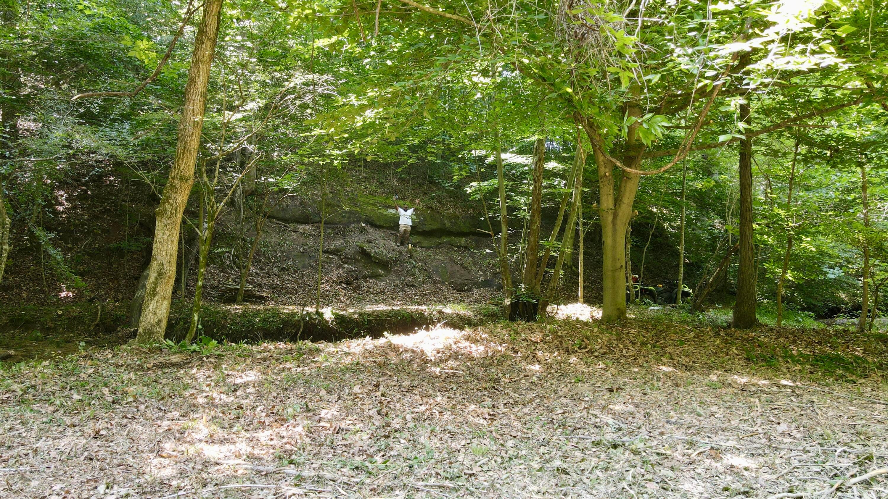 1101 Hull Road, Unit TRACT 9 WOODS WAYNE FOREST) Patriot, OH 45658 - Photo 50 of 61 20240621_151554000_iOS