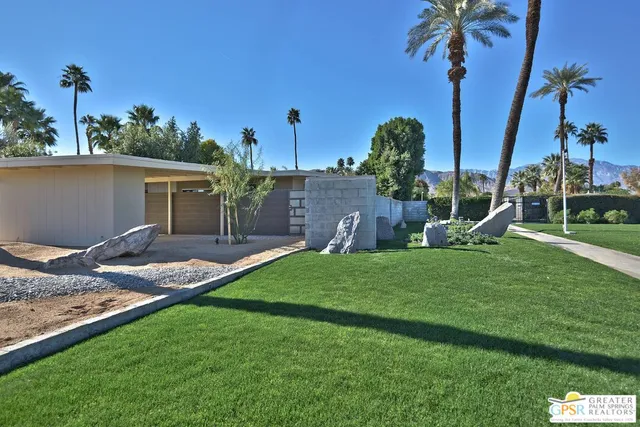 a view of a backyard with plants and palm tree