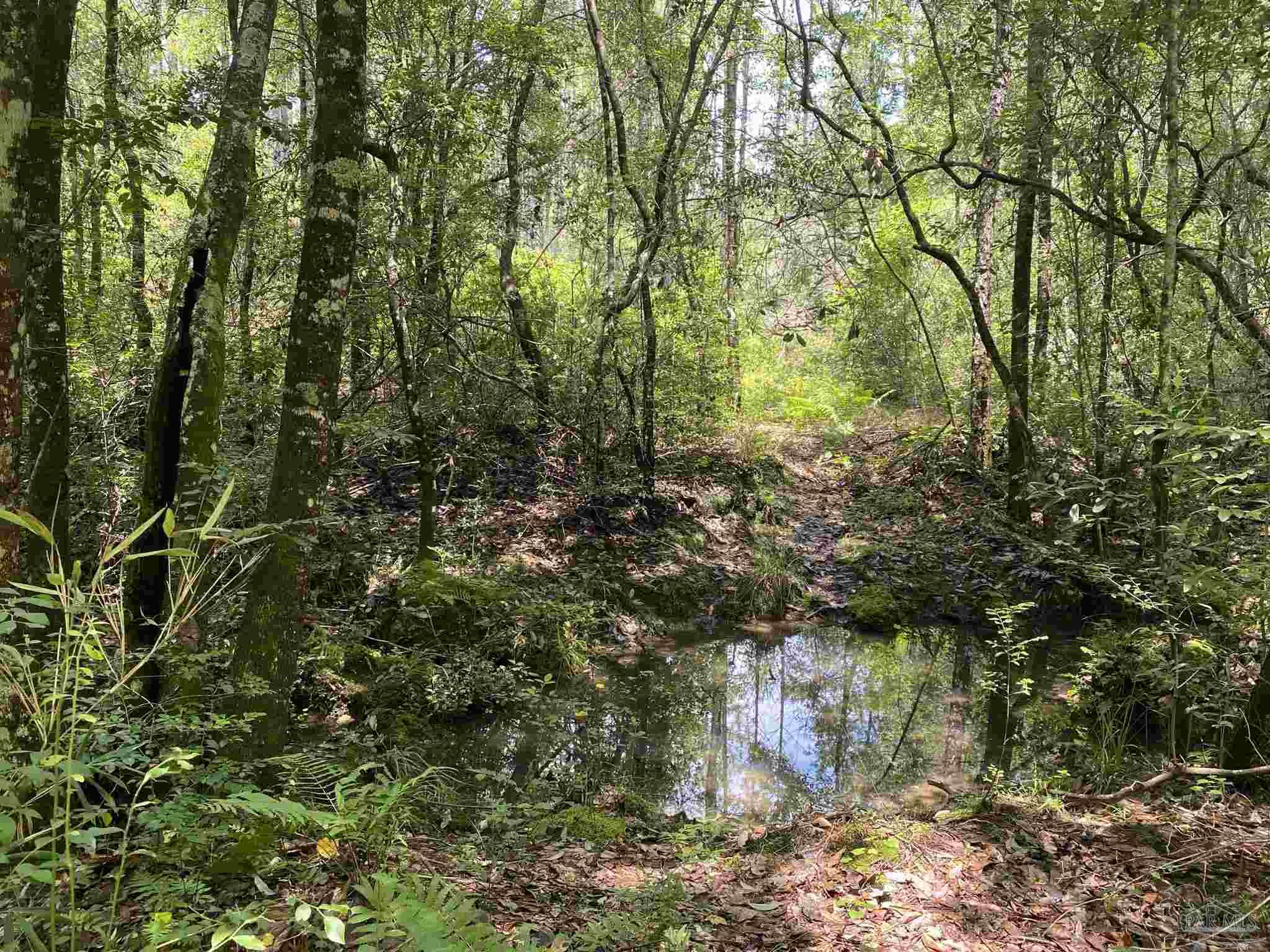 0 Short Creek Road Jay, FL 32565 - Photo 11 of 18