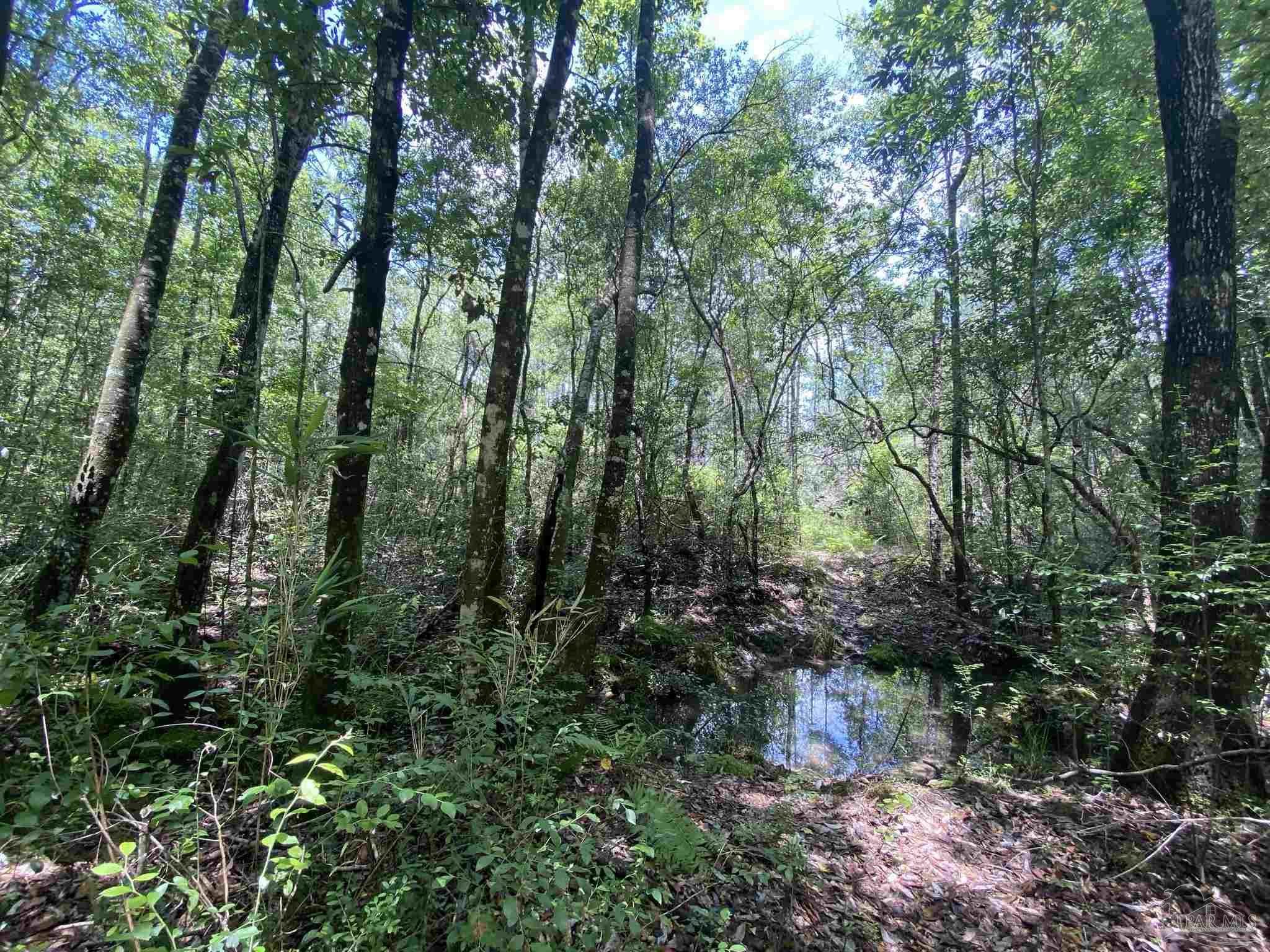 0 Short Creek Road Jay, FL 32565 - Photo 12 of 18