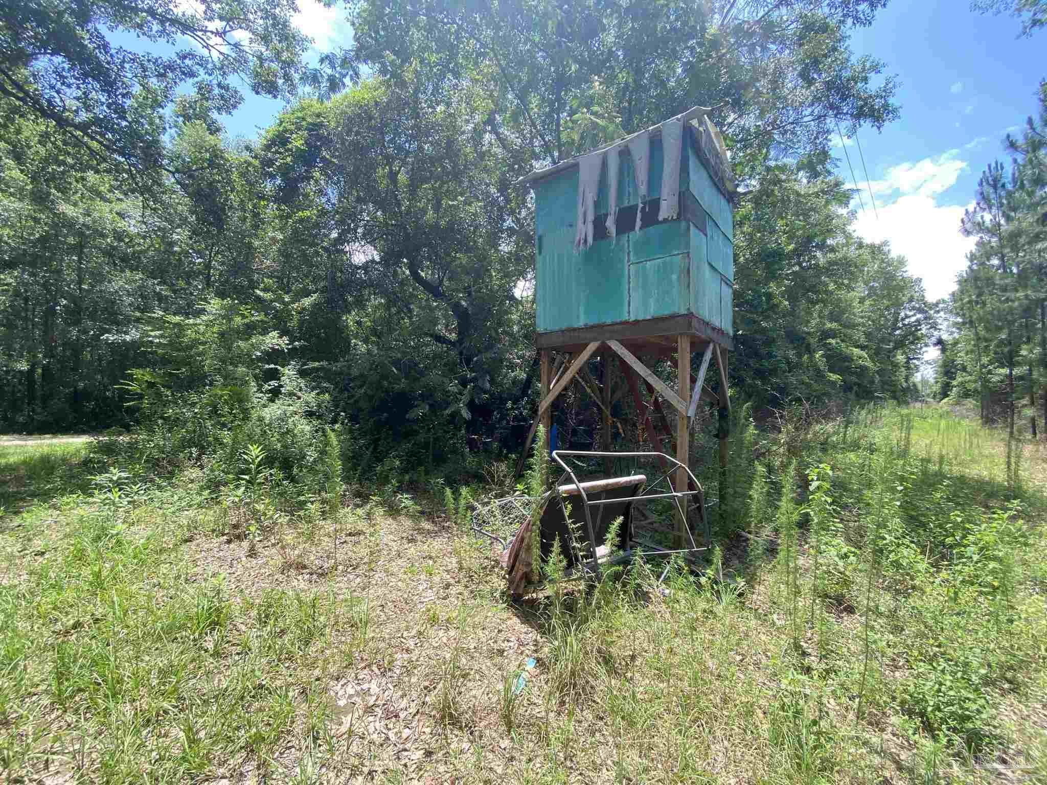 0 Short Creek Road Jay, FL 32565 - Photo 13 of 18