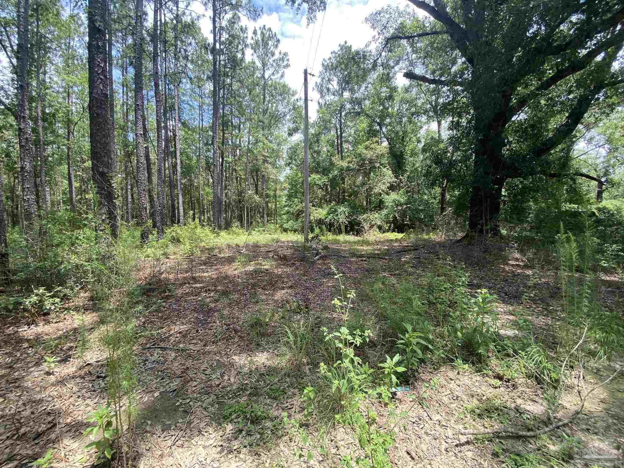 0 Short Creek Road Jay, FL 32565 - Photo 14 of 18