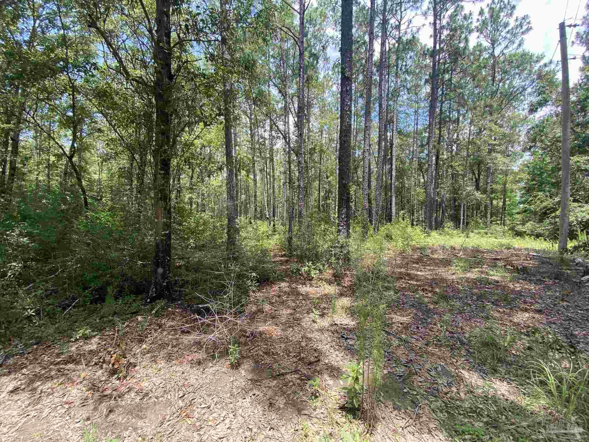 0 Short Creek Road Jay, FL 32565 - Photo 15 of 18