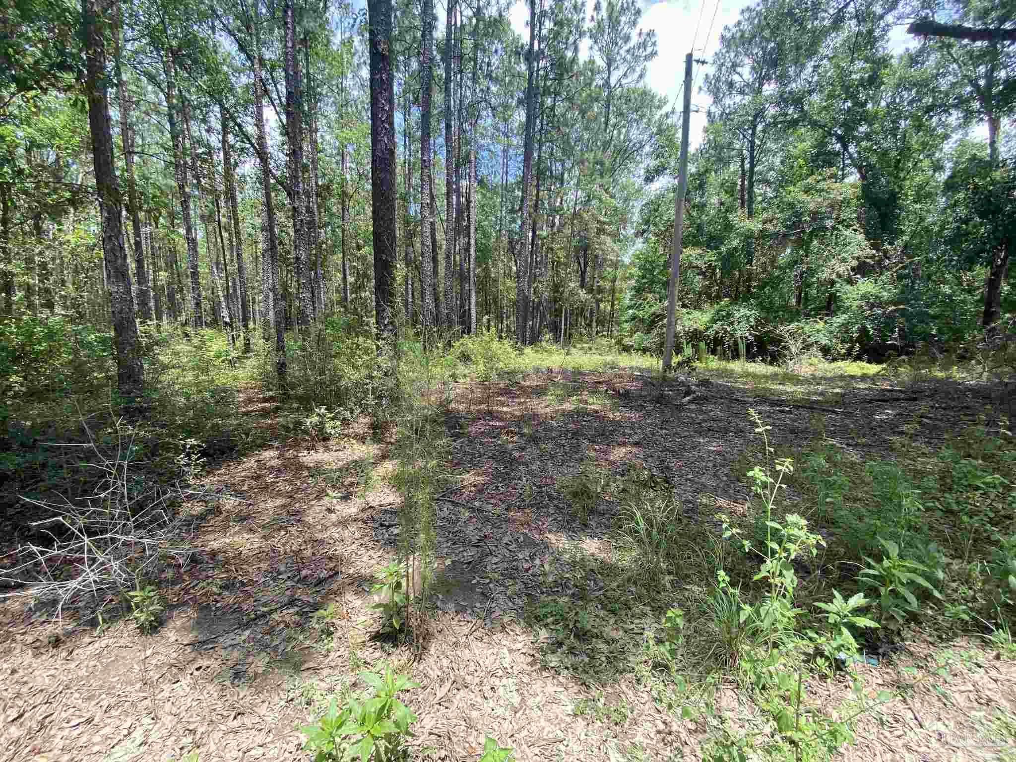 0 Short Creek Road Jay, FL 32565 - Photo 16 of 18