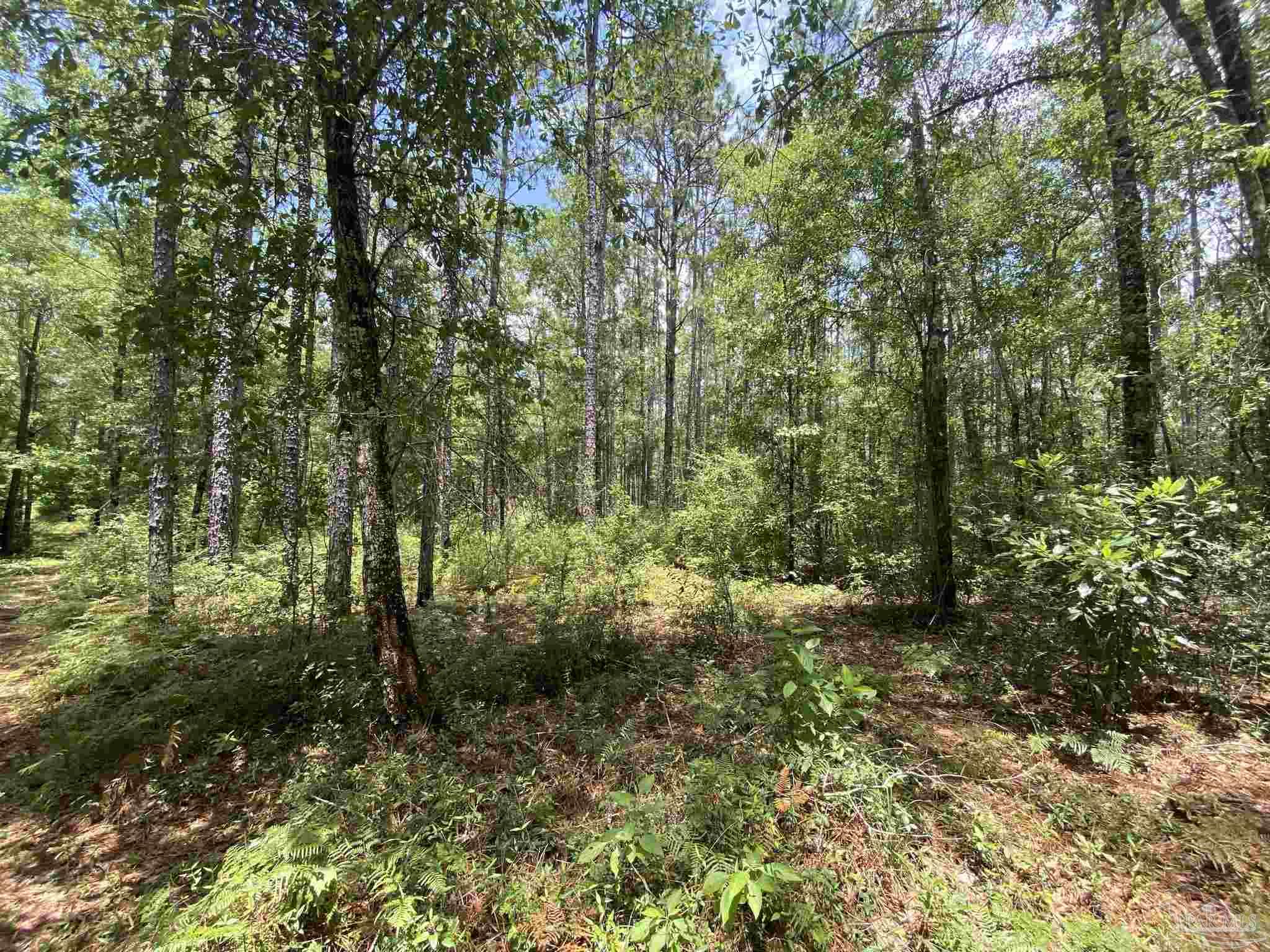 0 Short Creek Road Jay, FL 32565 - Photo 17 of 18