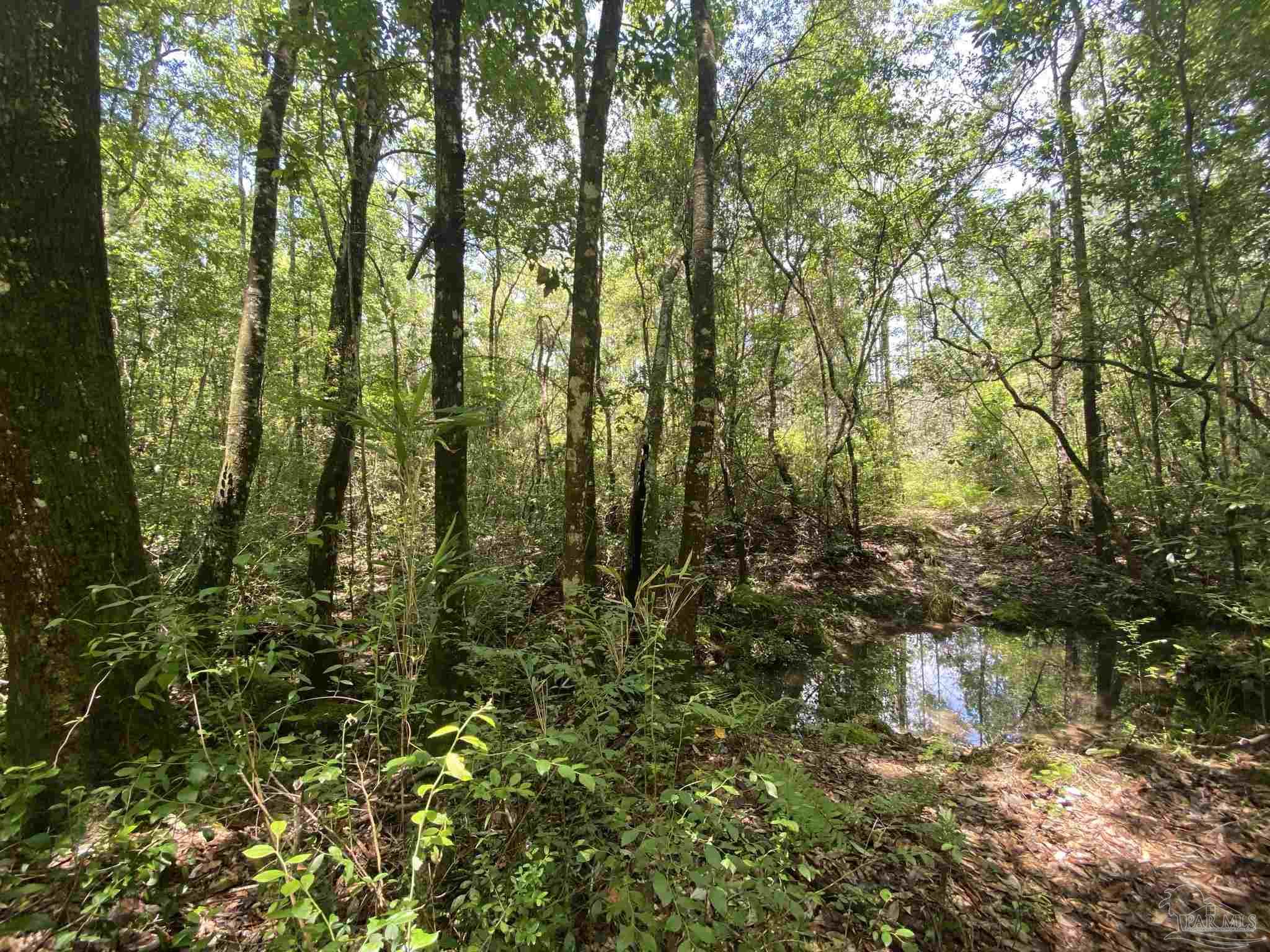 0 Short Creek Road Jay, FL 32565 - Photo 8 of 18