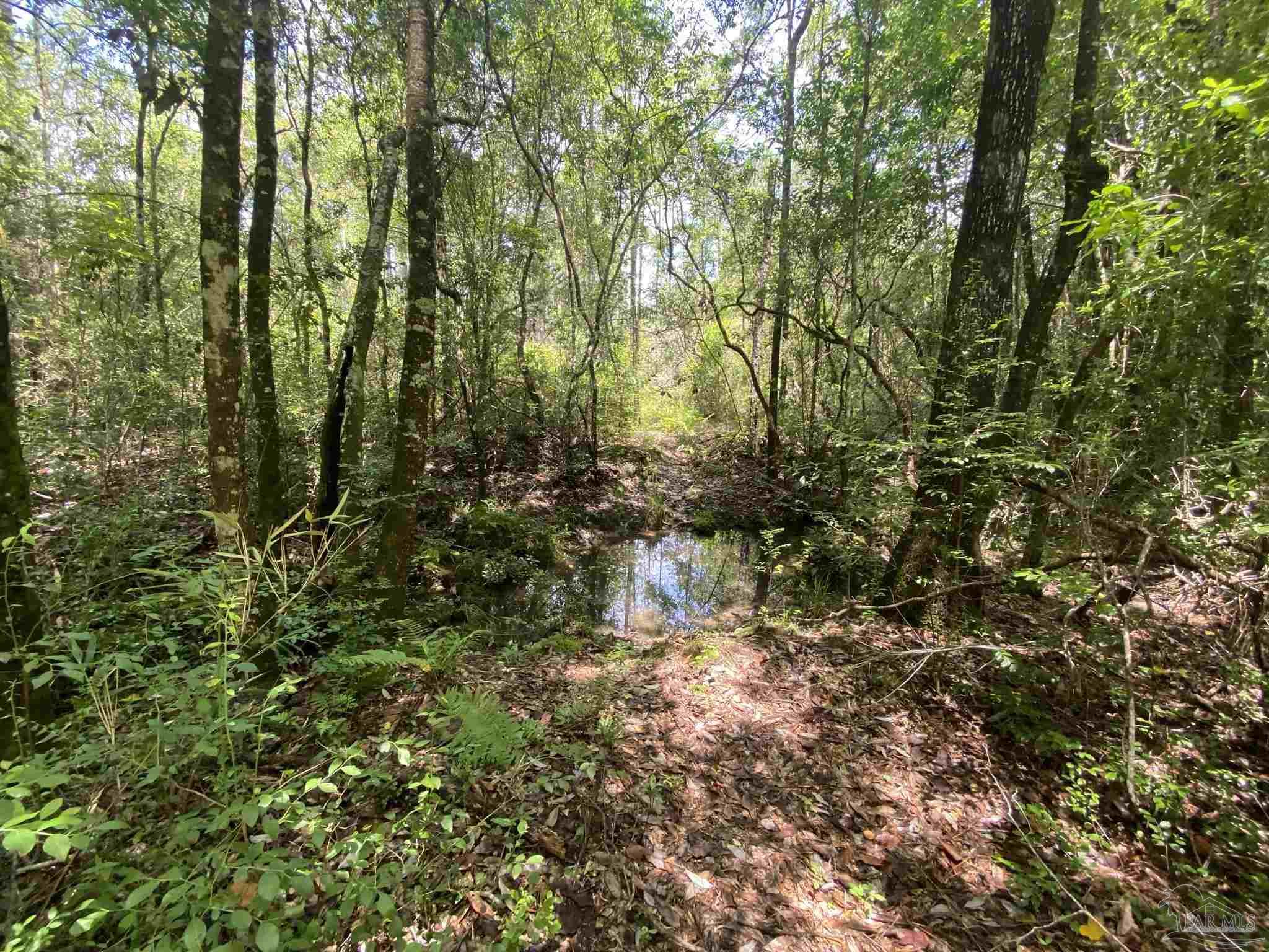0 Short Creek Road Jay, FL 32565 - Photo 9 of 18