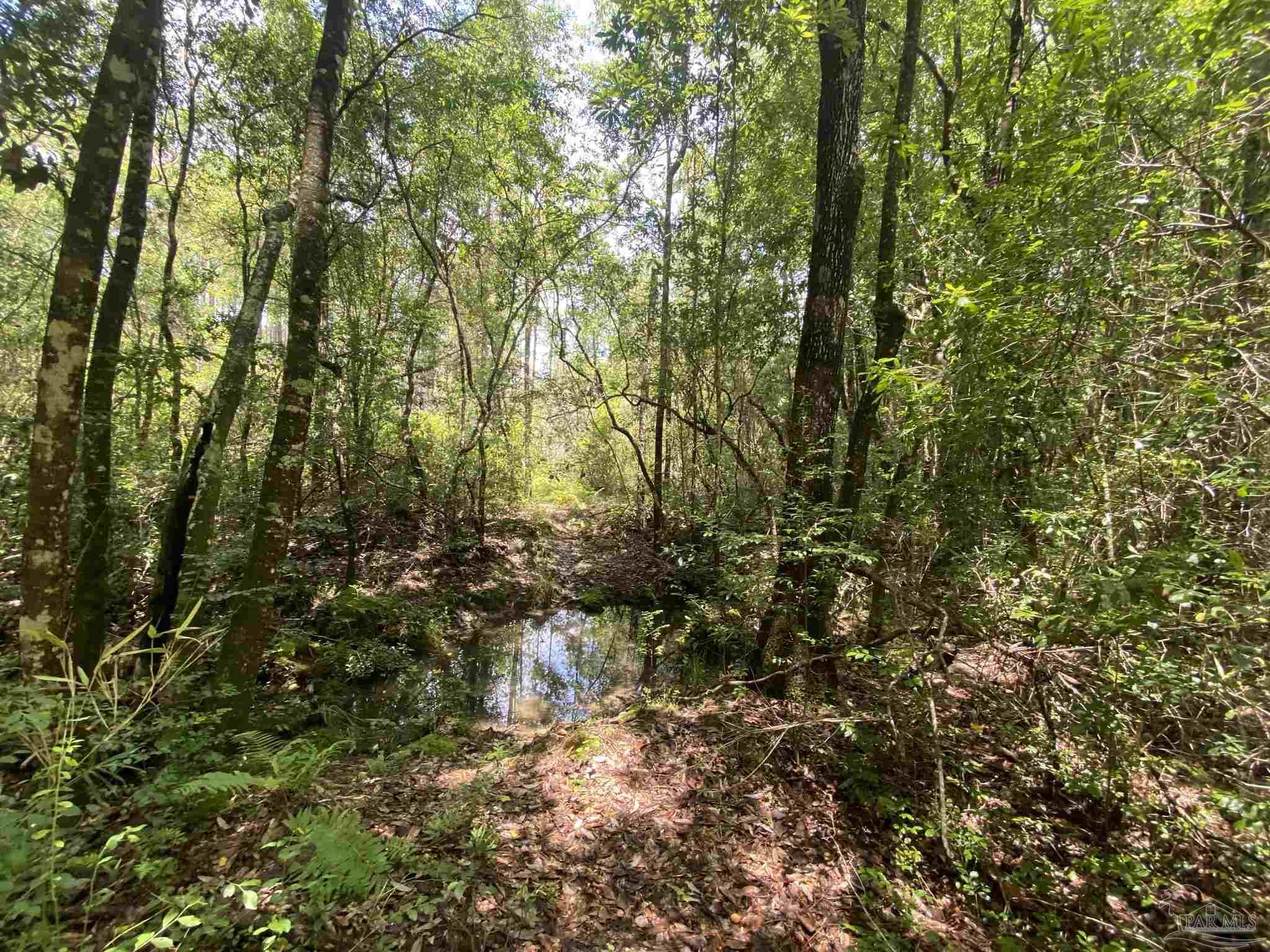 0 Short Creek Road Jay, FL 32565 - Photo 10 of 18