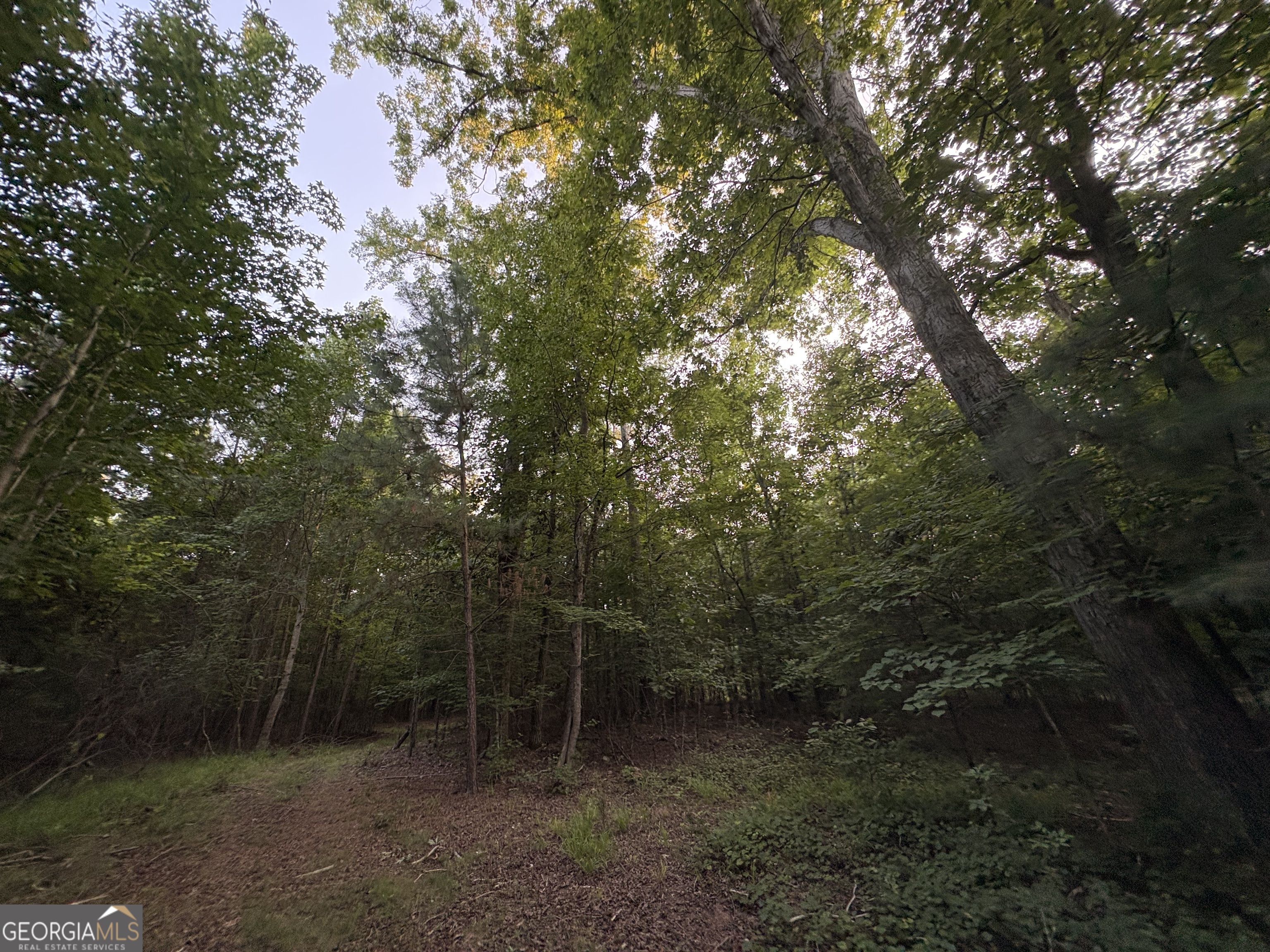 6 Bunch Road Tignall, GA 30668 - Photo 29 of 41 Gallery Image 29