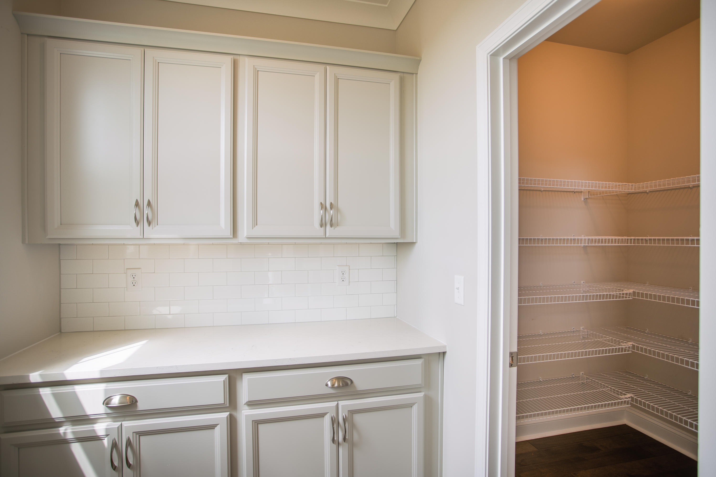1417 Rivers Cotton Road Charleston, SC 29412 - Photo 17 of 34 butler pantry