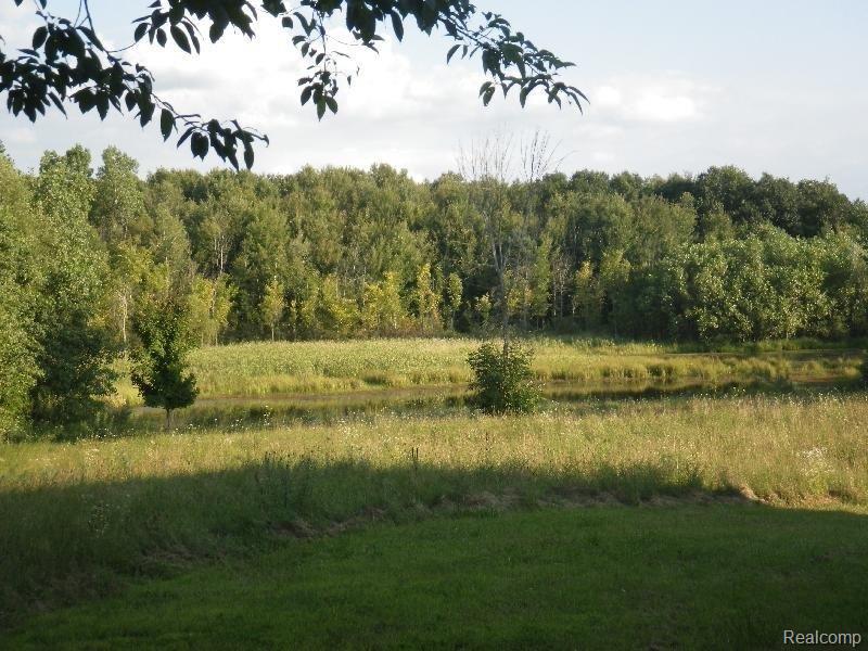 13202 North Irish Road Millington, MI 48746 - Photo 44 of 49 Pond