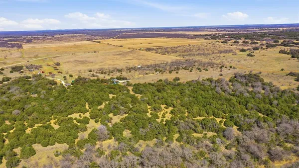 a view of a field with lots of bushes