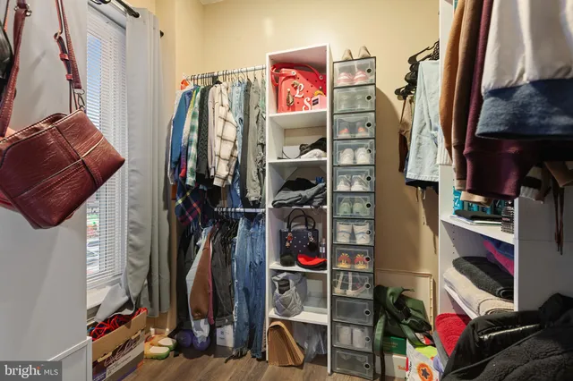 a view of a hallway with wooden floor and plant